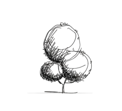 Pie de pagina - Gupa